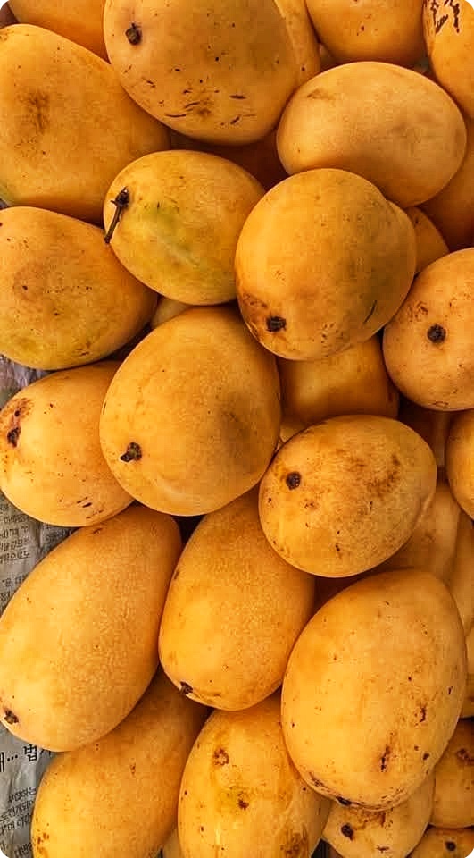 Good Quality Sweet Mangoes Identify Good Quality Sweet Mangoes Identify