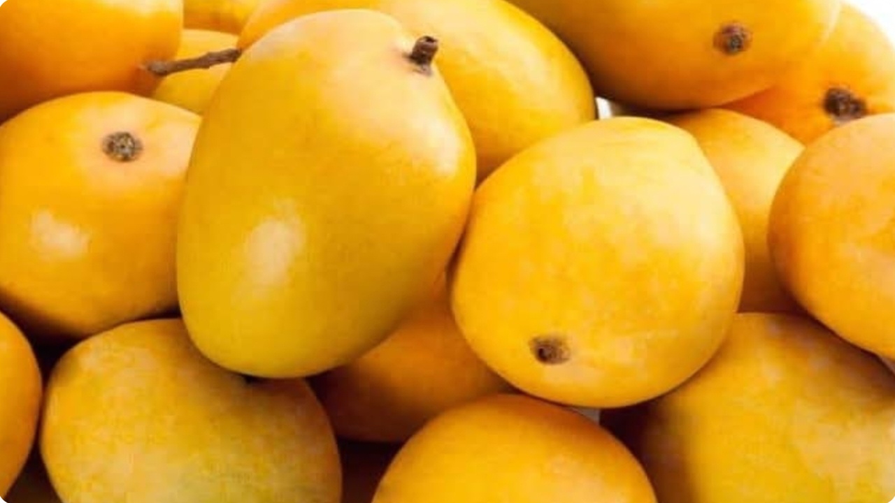Good Quality Sweet Mangoes Identify Good Quality Sweet Mangoes Identify