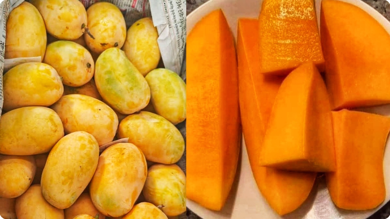 Good Quality Sweet Mangoes Identify Good Quality Sweet Mangoes Identify