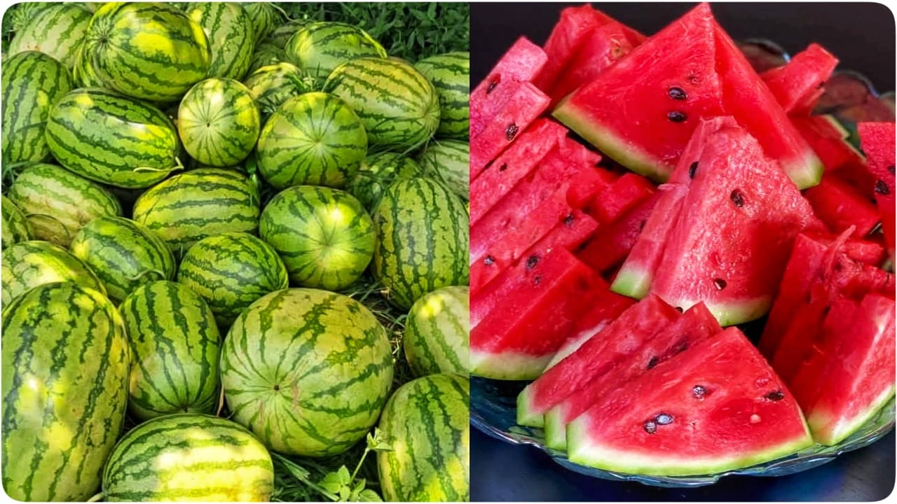 Watermelon